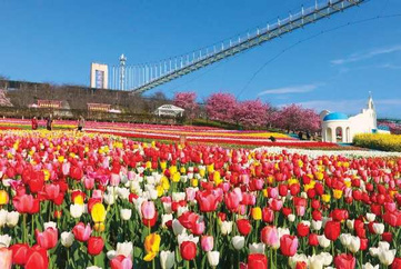 Taman bunga Manhua Flower Manor dan jambatan skywalk